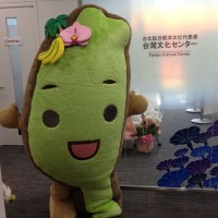 台湾文化センターの開幕イベントに参加してきました！